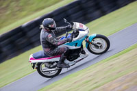 Vintage-motorcycle-club;eventdigitalimages;mallory-park;mallory-park-trackday-photographs;no-limits-trackdays;peter-wileman-photography;trackday-digital-images;trackday-photos;vmcc-festival-1000-bikes-photographs